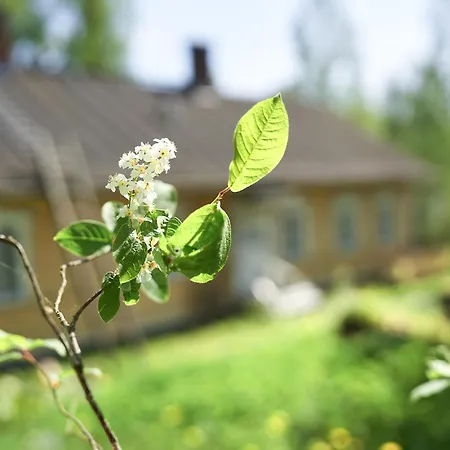 Naissaaren Valo Couette-café *