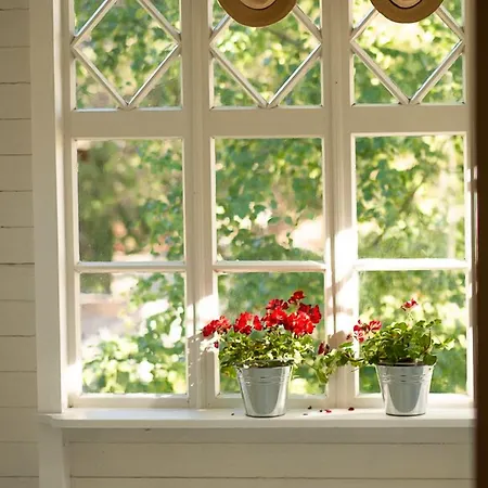 Naissaaren Valo * Jyväskylä