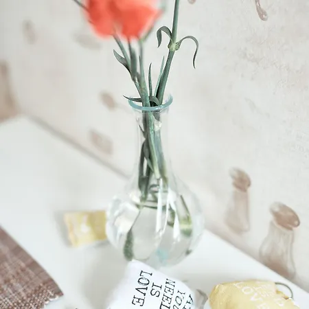 Naissaaren Valo Jyväskylä