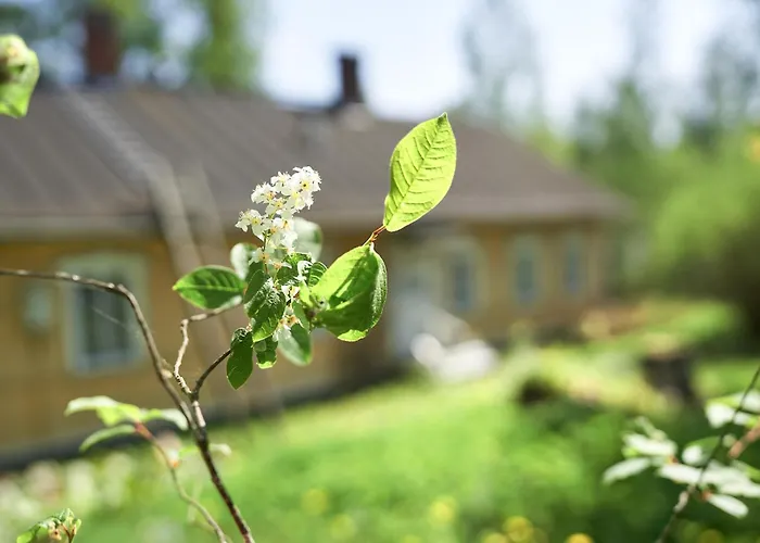 Naissaaren Valo Bed & Breakfast *