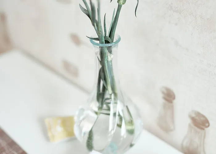 Naissaaren Valo Jyväskylä